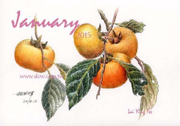 心享柿成_dreams come true_persimmon_Painted by Lai Ying-Tse